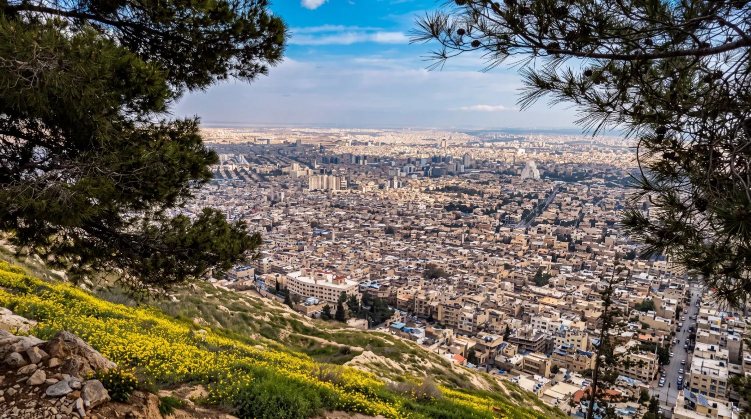 دمشق من جبل قاسيون، بين أغصان الصنوبر والأزهار الصفراء